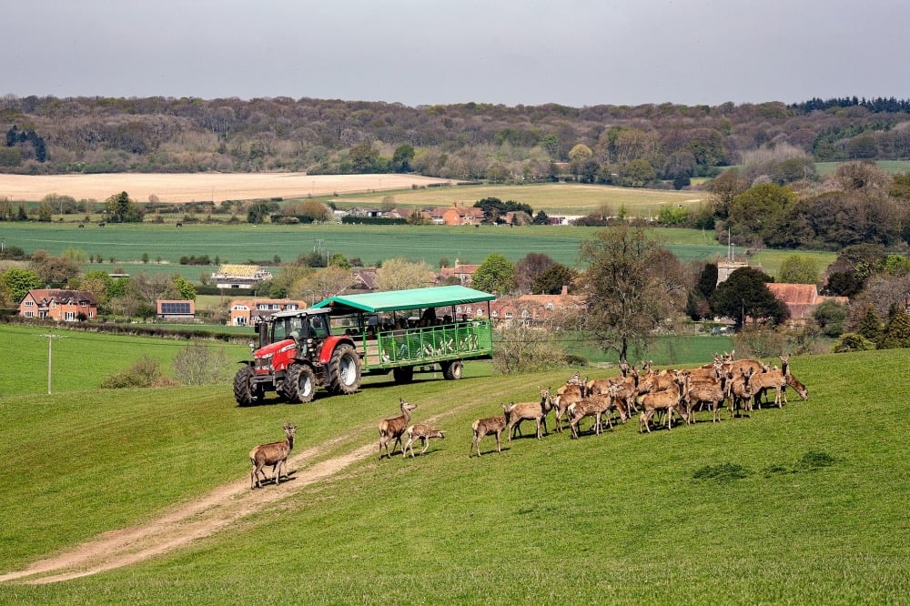 Bucklebury Farm, Wiltshire